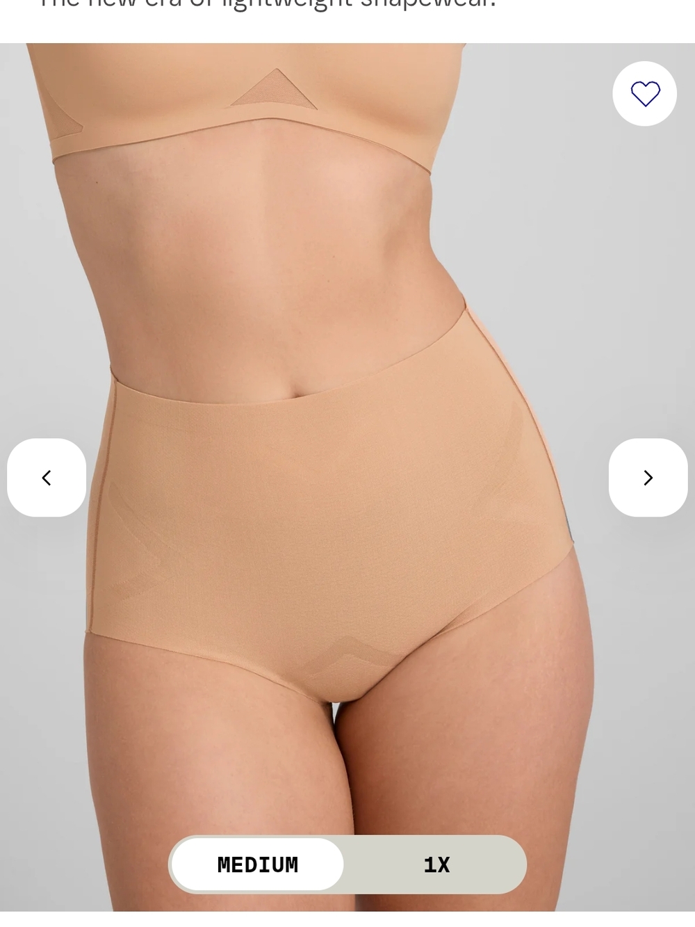 Honeylove Mid-waist Shaping Briefs in Nude Beige